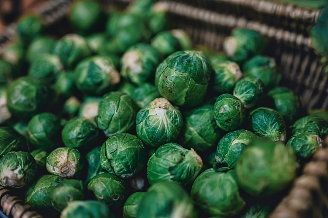 Photo Green vegetables